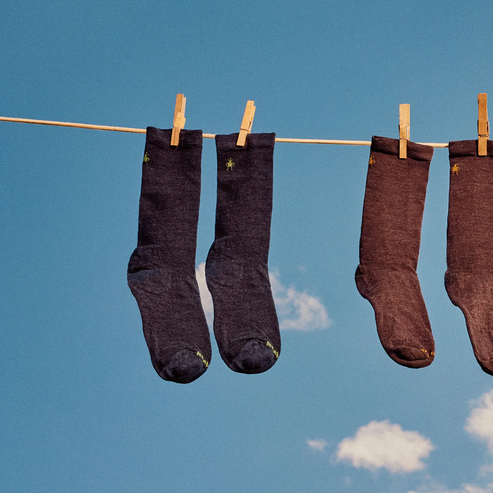Smartwool Everyday Anchor Line Crew Socks Womens Hosiery