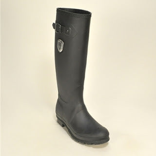 The Boots That Could have Survived Sandy!