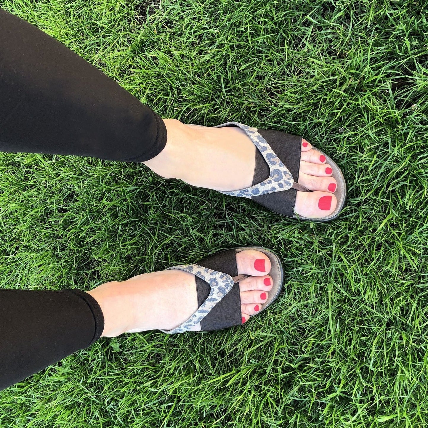 Naot Penelope Thong Sandal (7442) Womens Shoes 