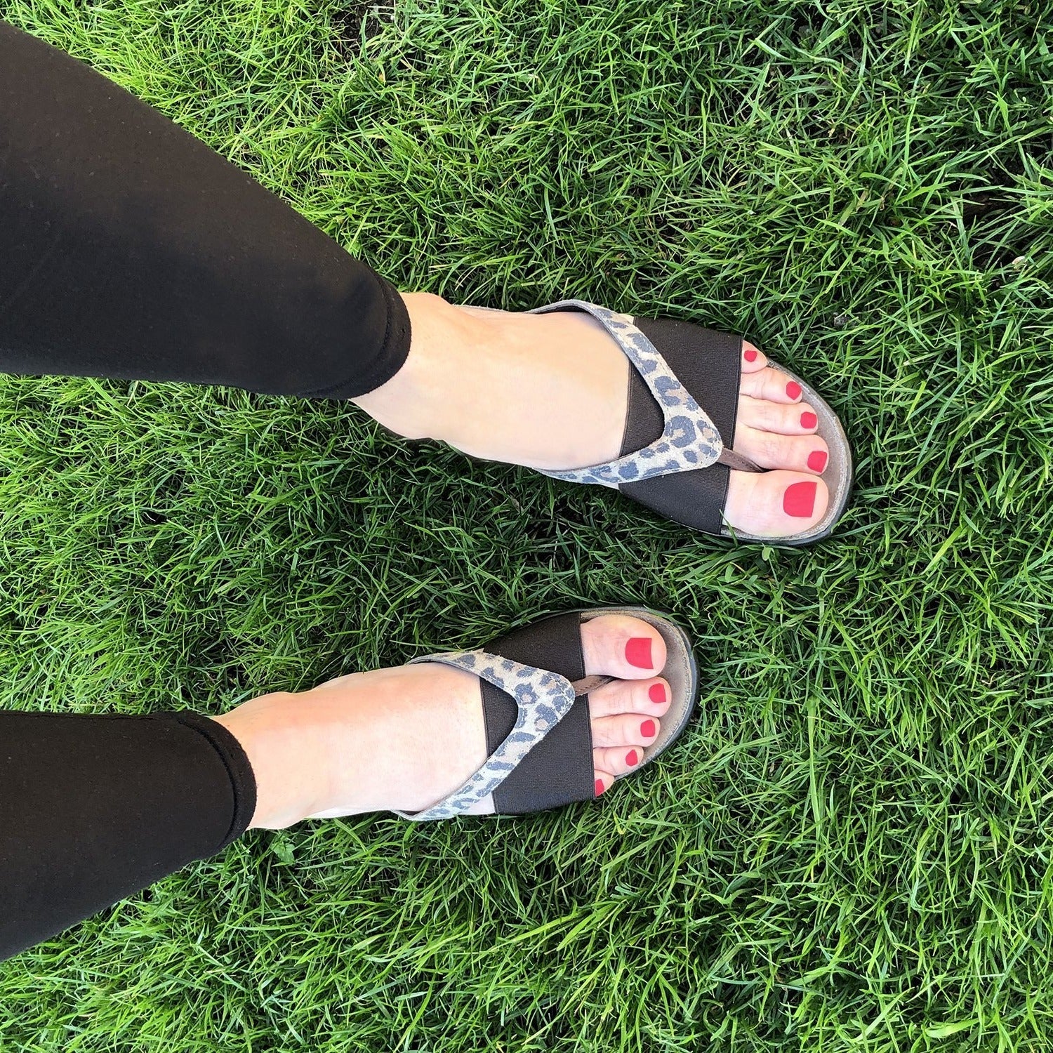 Naot Penelope Thong Sandal (7442) Womens Shoes 