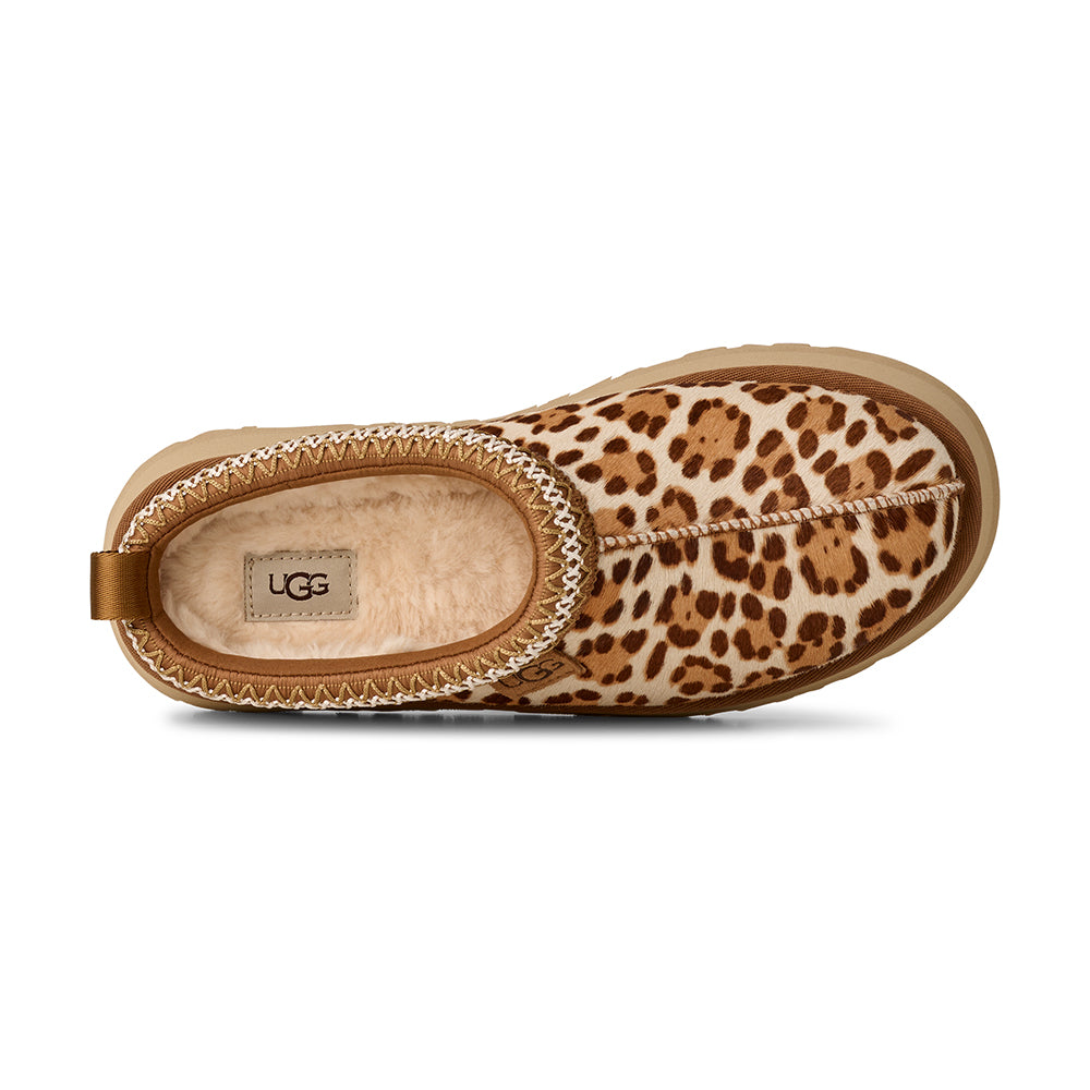 UGG Tazz Plains Womens Shoes