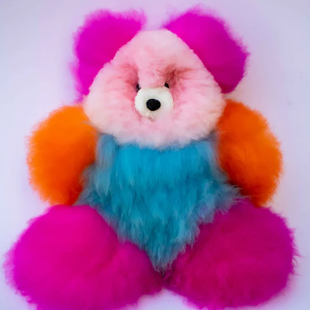 Inspired Peru Rainbow Bear Accessories