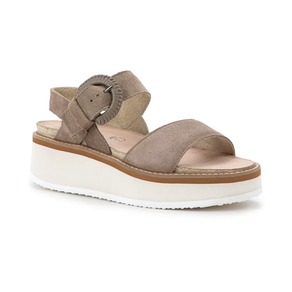 Almond Suede