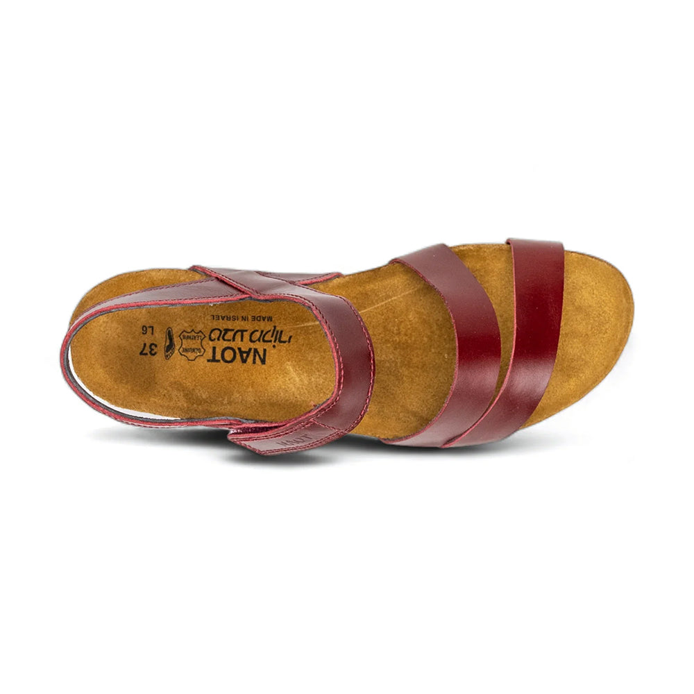 Naot Kayla Sandal Rumba (7806-080) Womens Shoes
