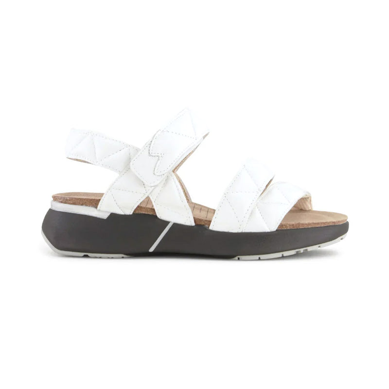 Naot Kayla Sport Sandal (111205) Womens Shoes