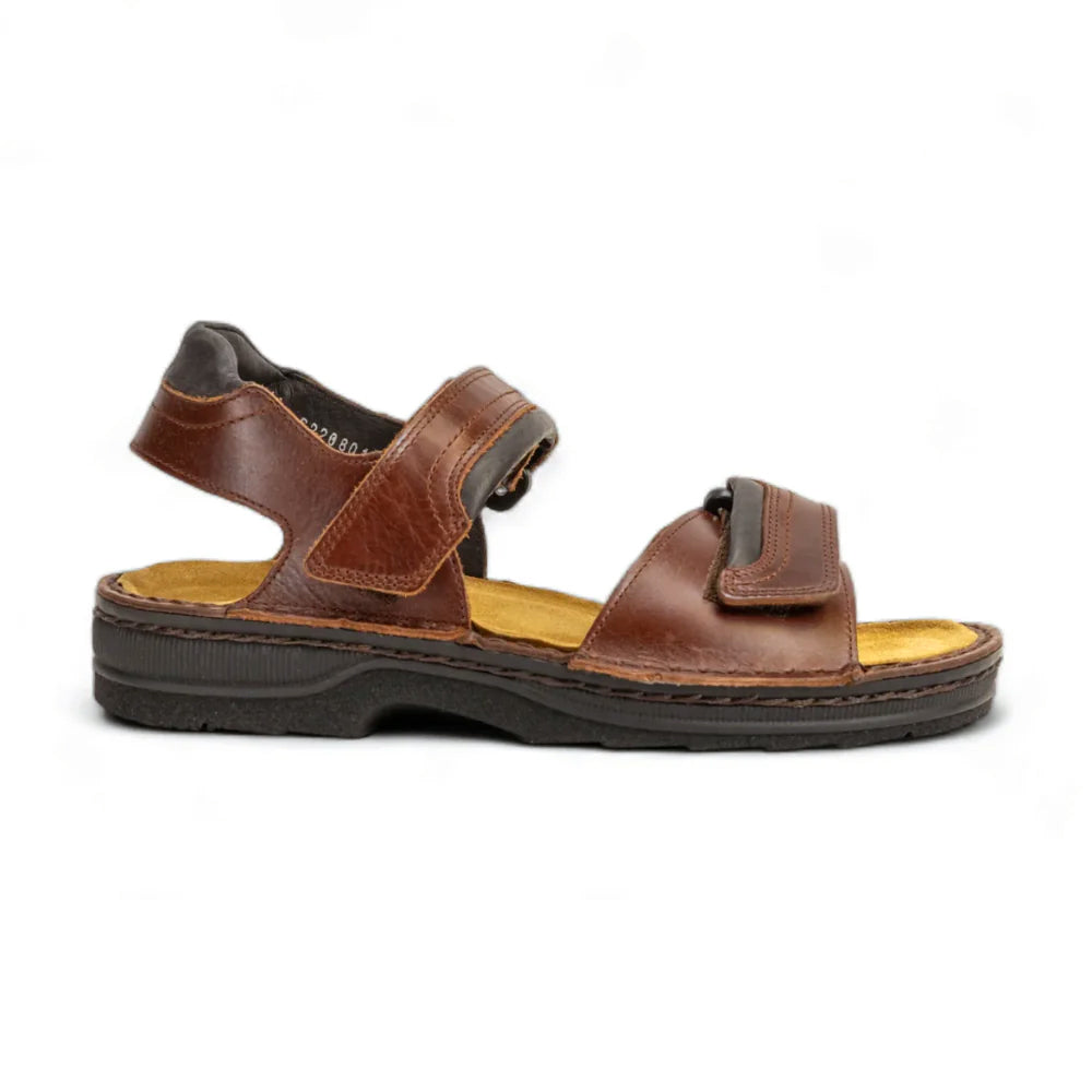 Naot Lappland (69601) Mens Shoes Buffalo