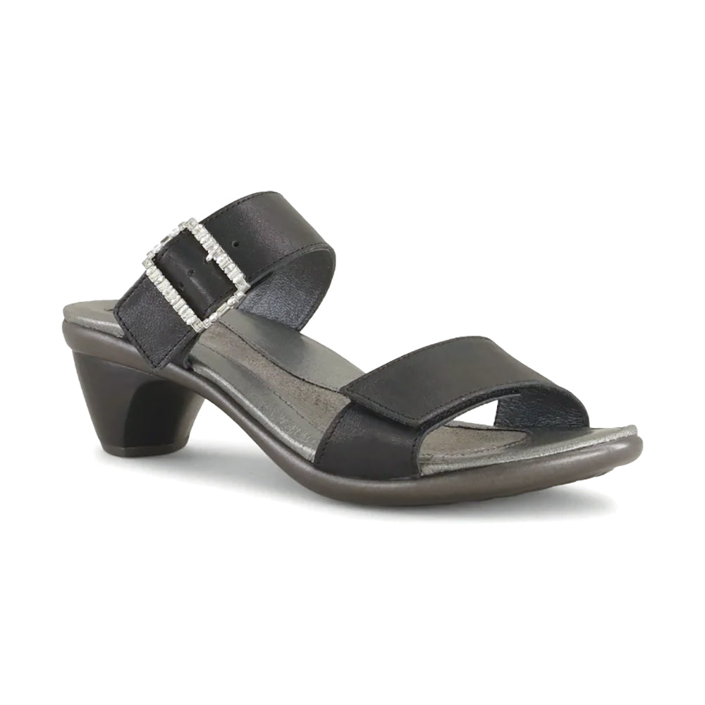 Shiny Black