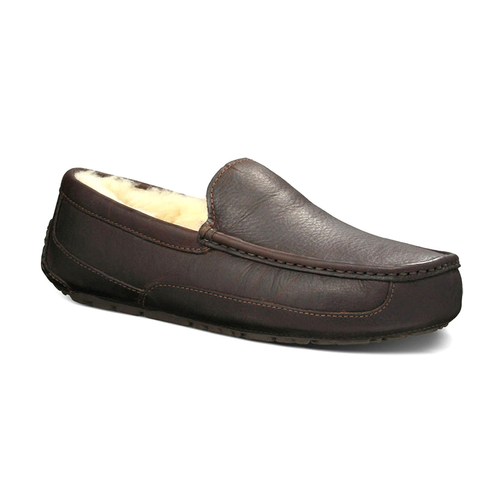 UGG M Ascot Mens Shoes Dark Spice