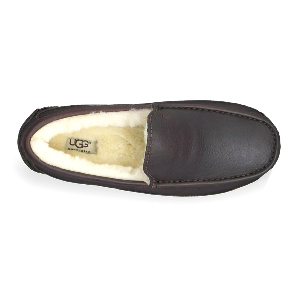 UGG M Ascot Mens Shoes