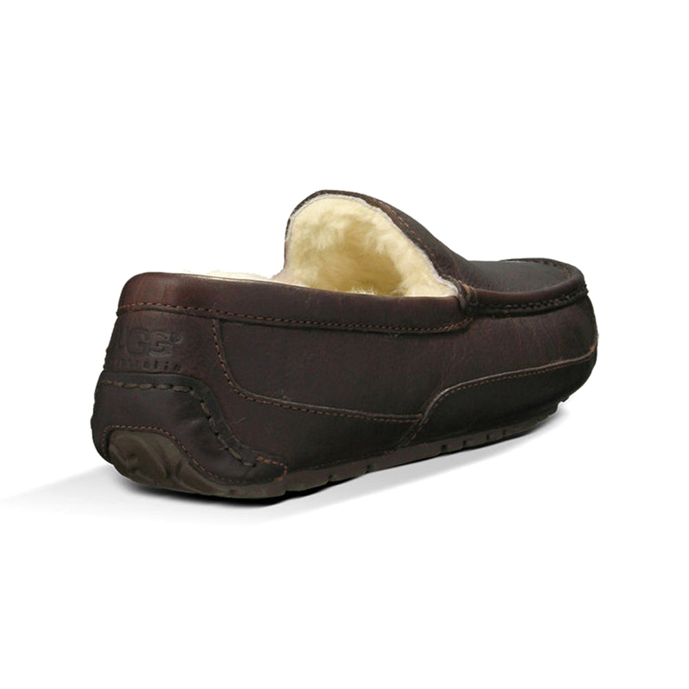 UGG M Ascot Mens Shoes