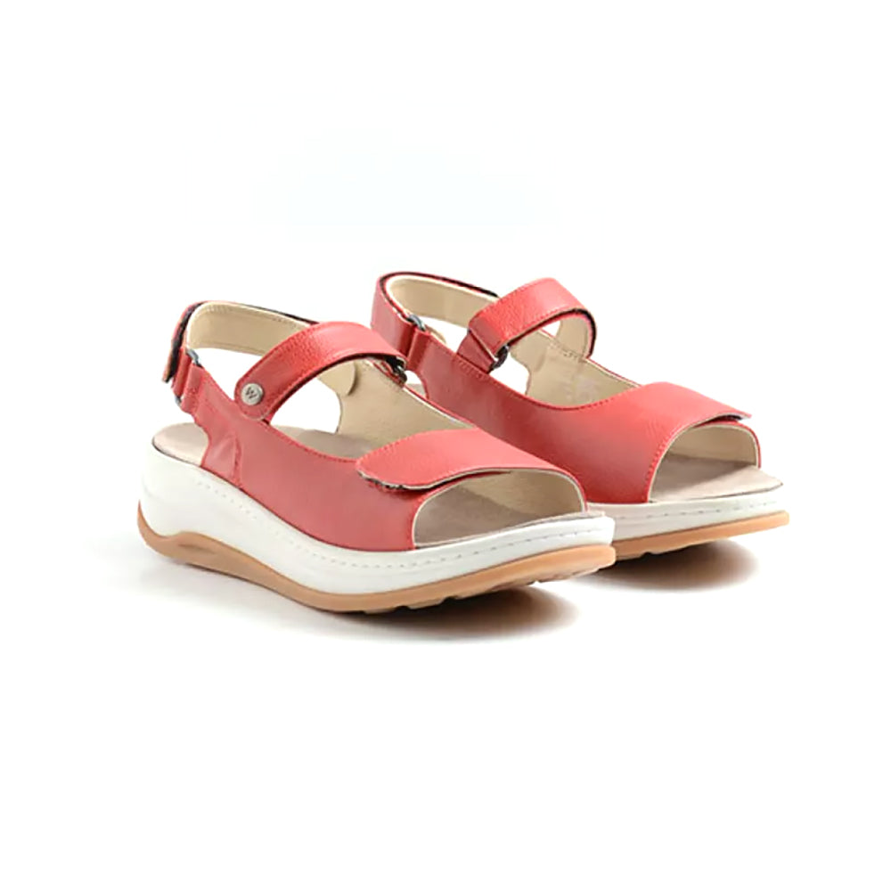 07-500 Red Floater Biocare