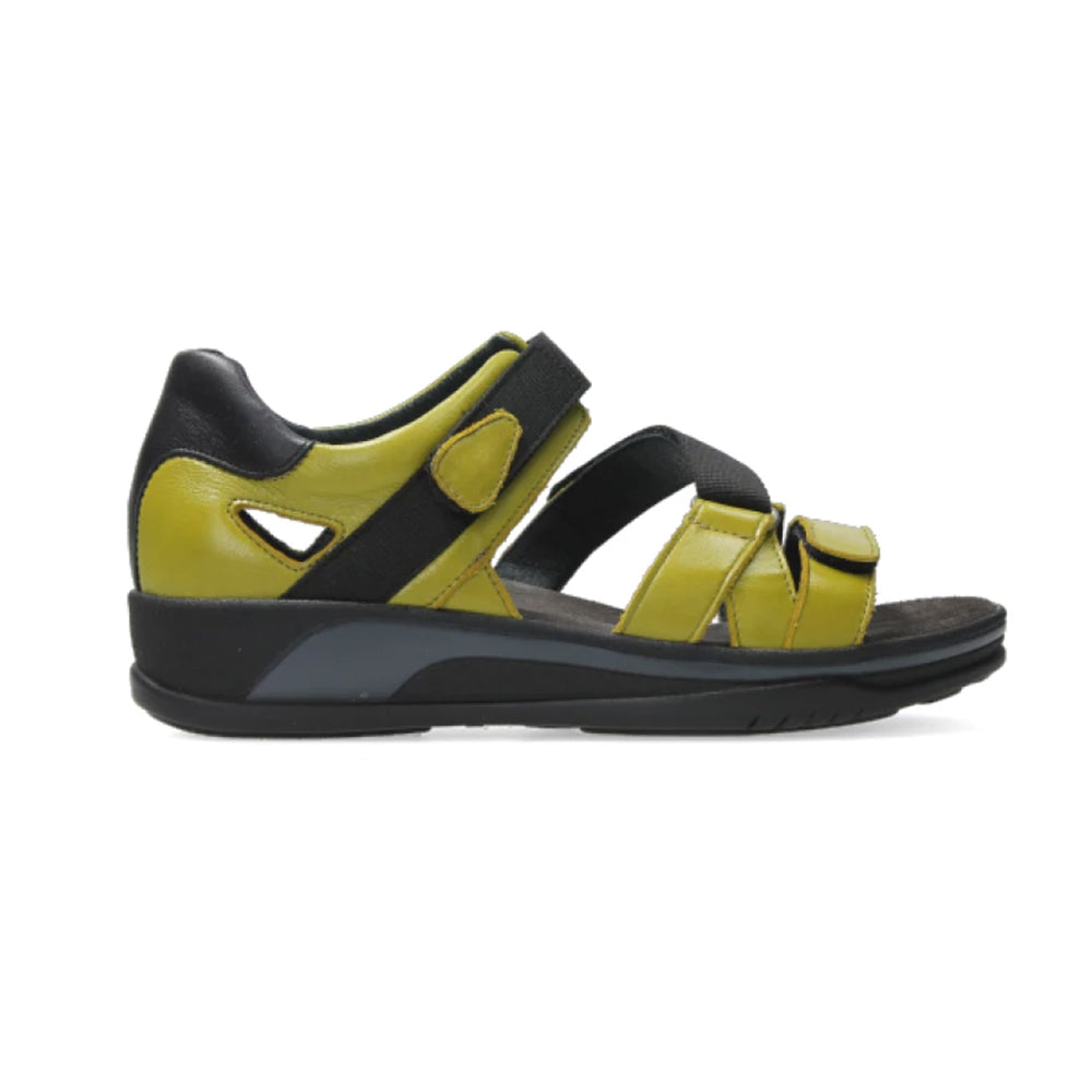 Wolky Desh Sandal Womens Shoes