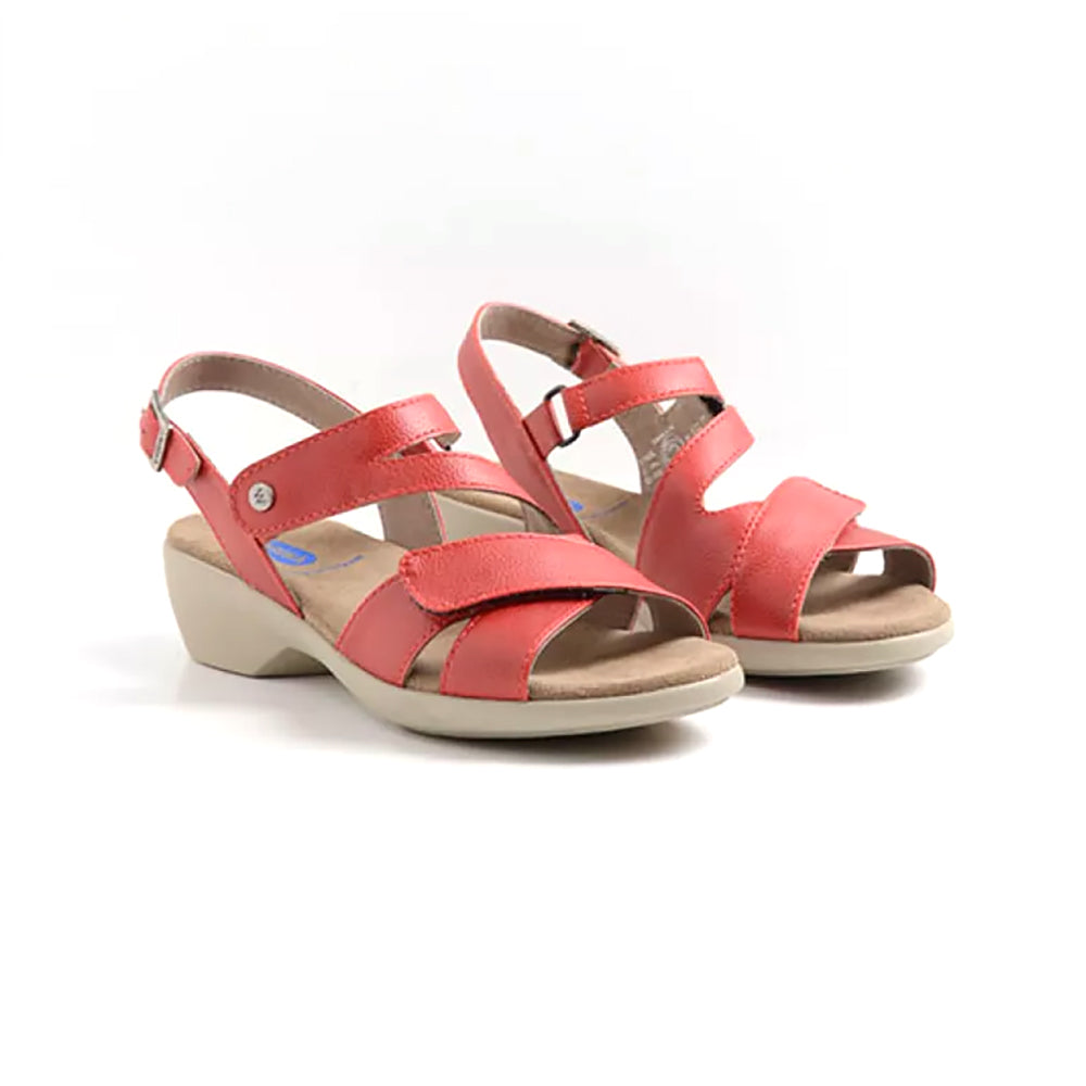 07-500 Red Floater Biocare