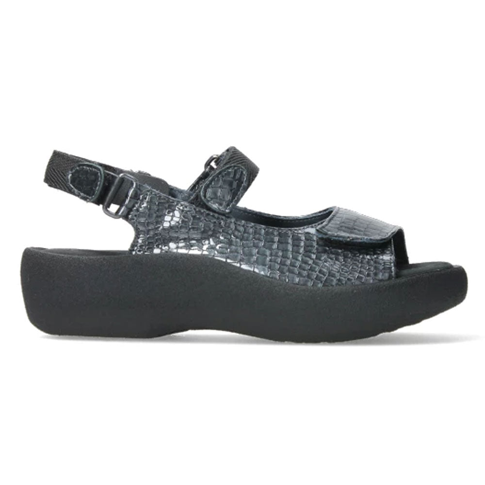 67-210 Anthracite Croco