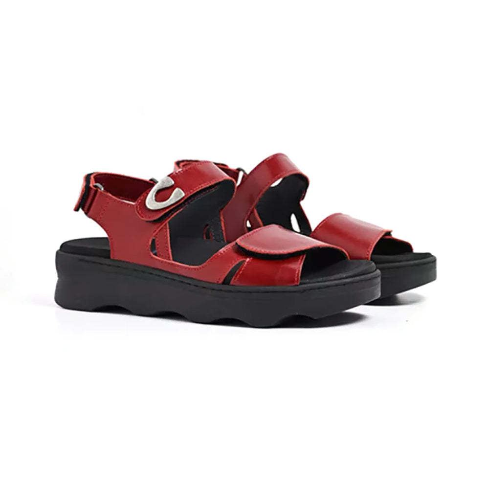 33-530 Oxblood Reflex