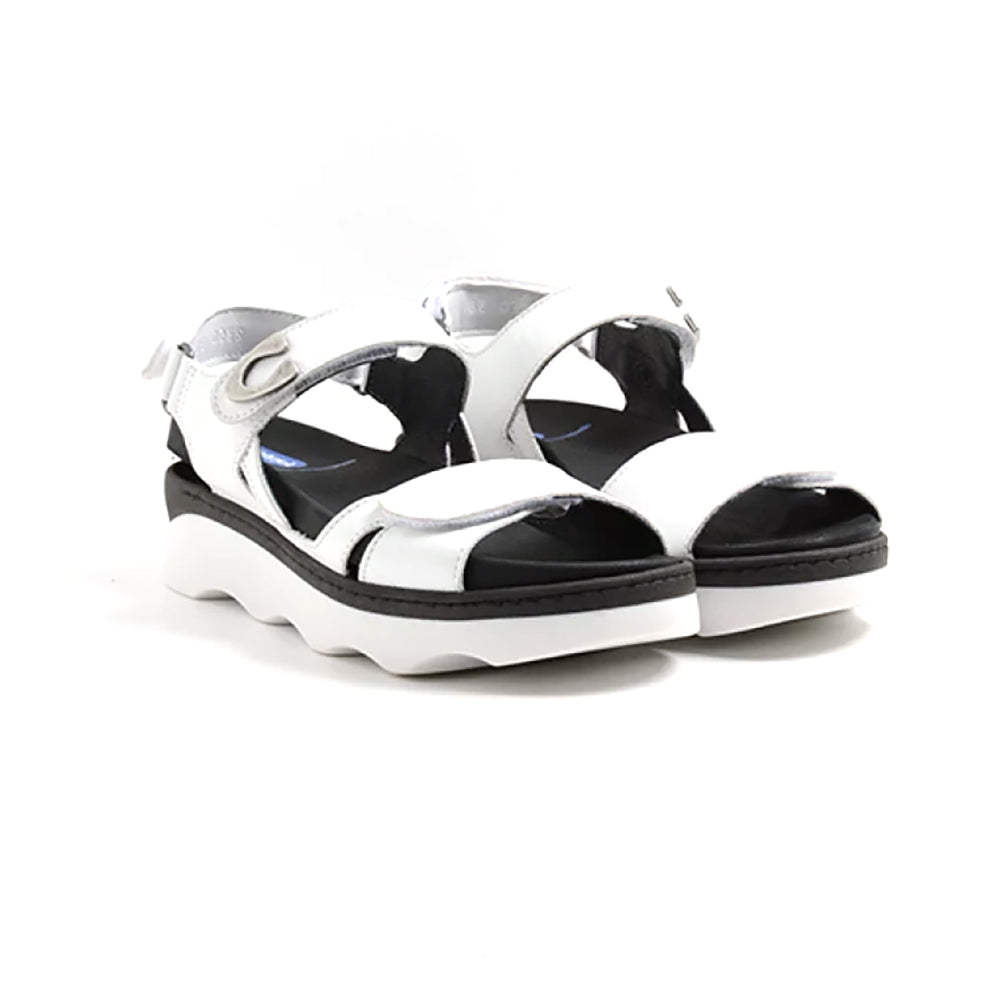33-100 White