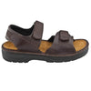 Naot Andes (69048) Mens Shoes Walnut